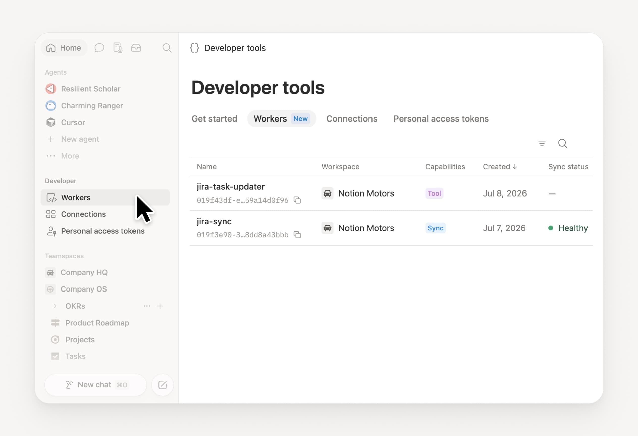 Developer sidebar section