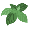 Profile picture of Basil