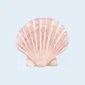 Profile picture of natalie 🐚