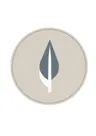 Profile picture of Beyond your Bounds