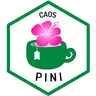 Imagen de perfil de Pini